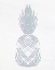 Picture of PINEAPPLE LAYERS 2