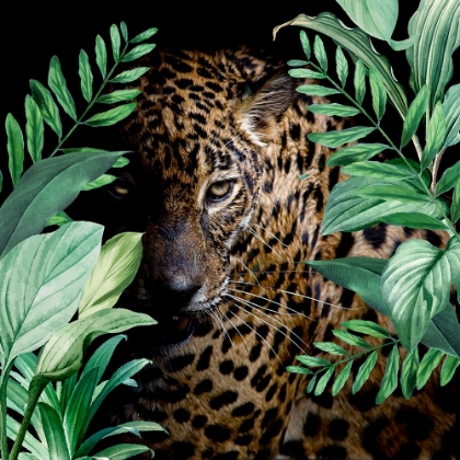 Picture of JUNGLE LEOPARD