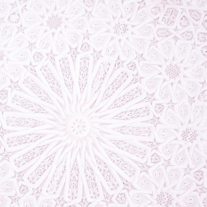 Picture of LILAC LACE 2