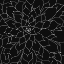 Picture of BLACK AND GREY SUCCULENTS 2