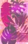 Picture of PINK SPARKLY TROPICS