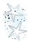 Picture of BLUE SEA STARS