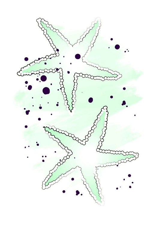 Picture of GREEN SEA STARS