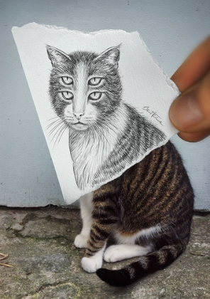 Picture of PENCIL VS CAMERA 6 - 4 EYES CAT