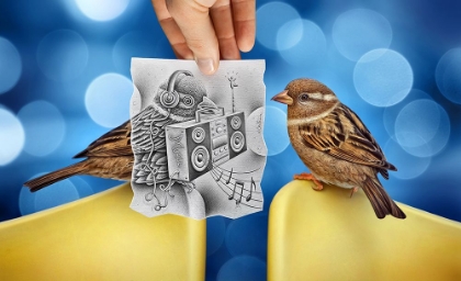 Picture of PENCIL VS CAMERA 66 - SINGING BIRDS