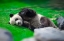 Picture of BAMBOO RIGHT IN MY STOMACH 2