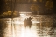 Picture of DINANT 6