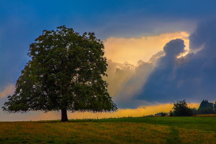 Picture of GODS RAYS