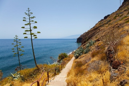 Picture of LANZAROTE - TENERIFE