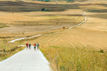 Picture of SANTIAGO DE COMPOSTELA PILGRIMAGE - 156
