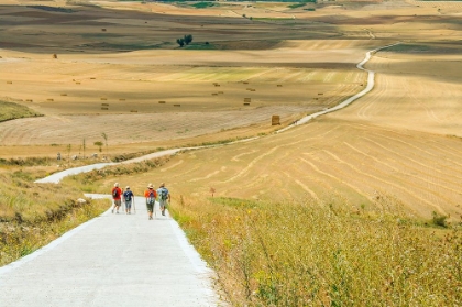 Picture of SANTIAGO DE COMPOSTELA PILGRIMAGE - 156