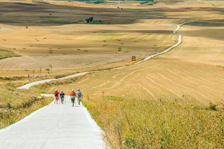 Picture of SANTIAGO DE COMPOSTELA PILGRIMAGE - 156