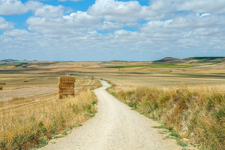 Picture of SANTIAGO DE COMPOSTELA PILGRIMAGE - 165