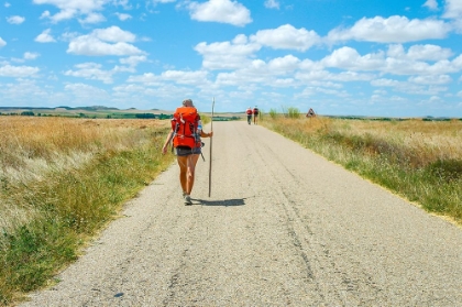 Picture of SANTIAGO DE COMPOSTELA PILGRIMAGE - 175