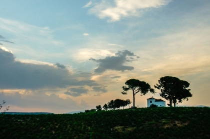 Picture of SANTIAGO DE COMPOSTELA PILGRIMAGE - 216