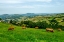 Picture of SANTIAGO DE COMPOSTELA PILGRIMAGE - 237