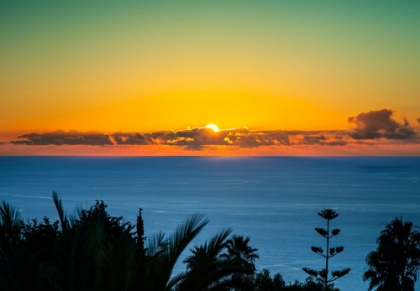 Picture of SUNSET TENERIFE