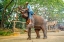 Picture of THAILAND - 260
