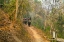 Picture of THAILAND - 314