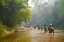 Picture of THAILAND - 330
