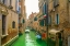 Picture of _SAM0871