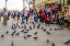 Picture of _SAM0987