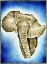 Picture of AFRICAN CONTINENT WATERCOLOR