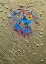 Picture of BLUE EFFUSION