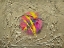 Picture of CHAOTIC BALANCE