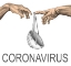 Picture of CORONAVIRUS
