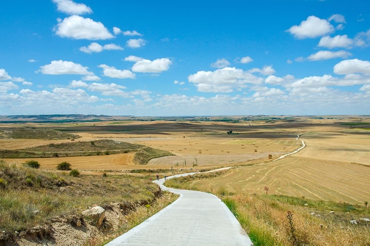 Picture of SANTIAGO DE COMPOSTELA PILGRIMAGE - 160