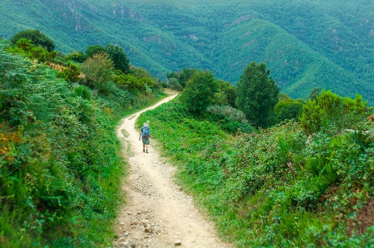 Picture of SANTIAGO DE COMPOSTELA PILGRIMAGE - 242