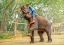 Picture of THAILAND - 259