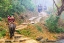 Picture of THAILAND - 308