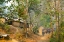 Picture of THAILAND - 317