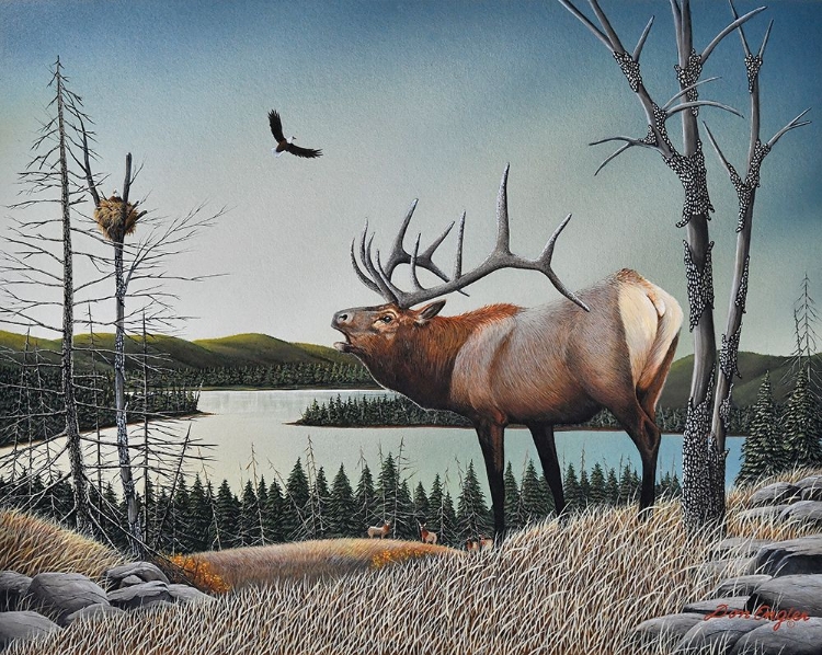 Picture of BUGLING ELK