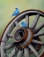 Picture of SIMPLY BLUE