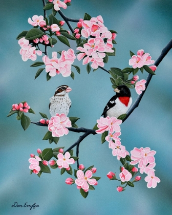 Picture of RED-BREASTED GROSBEAKS