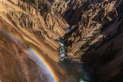 Picture of BRINK OF LOWER FALLS YNP