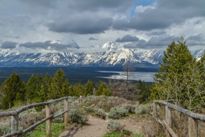 Picture of JACKSON LAKE OVERLOOK GTNP