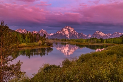 Picture of MAGENTA SUNRISE  OXBOW BEND