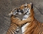 Picture of A KISS FOR MOM