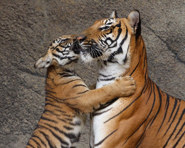 Picture of A KISS FOR MOM