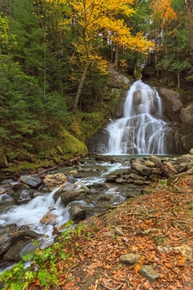 Picture of MOSS GLEN FALLS IN VT