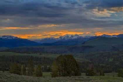 Picture of YELLOWSTONE SUNRISE