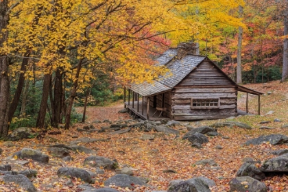 Picture of BUD OGLE CABIN