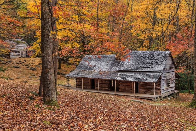 Picture of BUD OGLE PLACE WITH BARN COMP 2