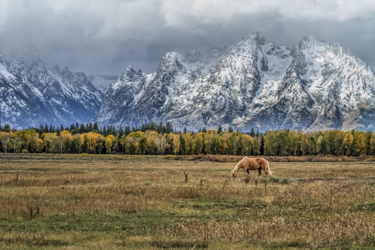 Picture of FINE DINING IN THE TETONS