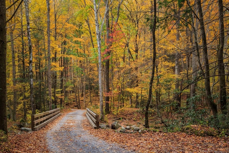 Picture of GREENBRIER BRIDGE PATH