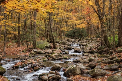 Picture of GREENBRIER CASCADE